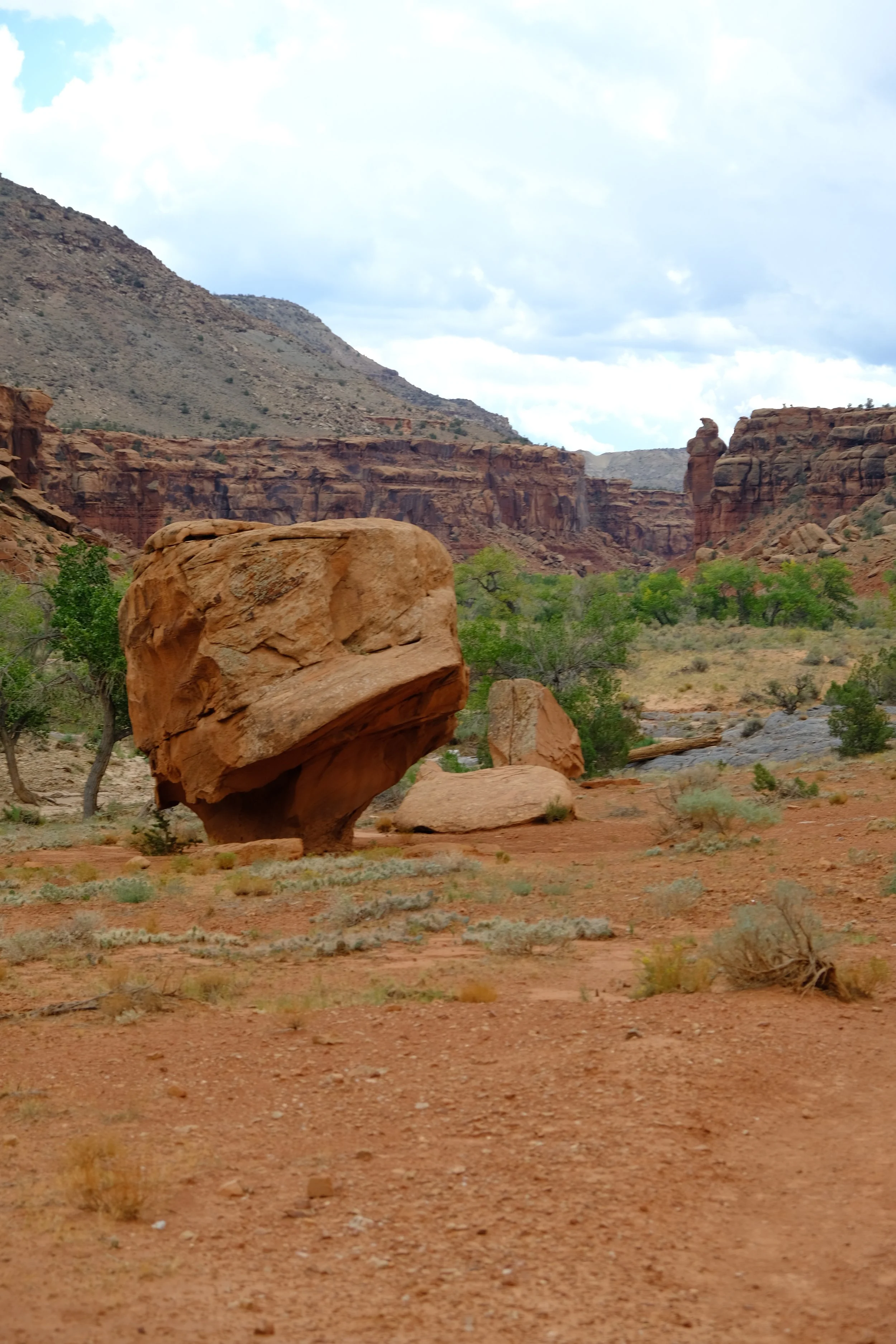 DSCF7553.JPG