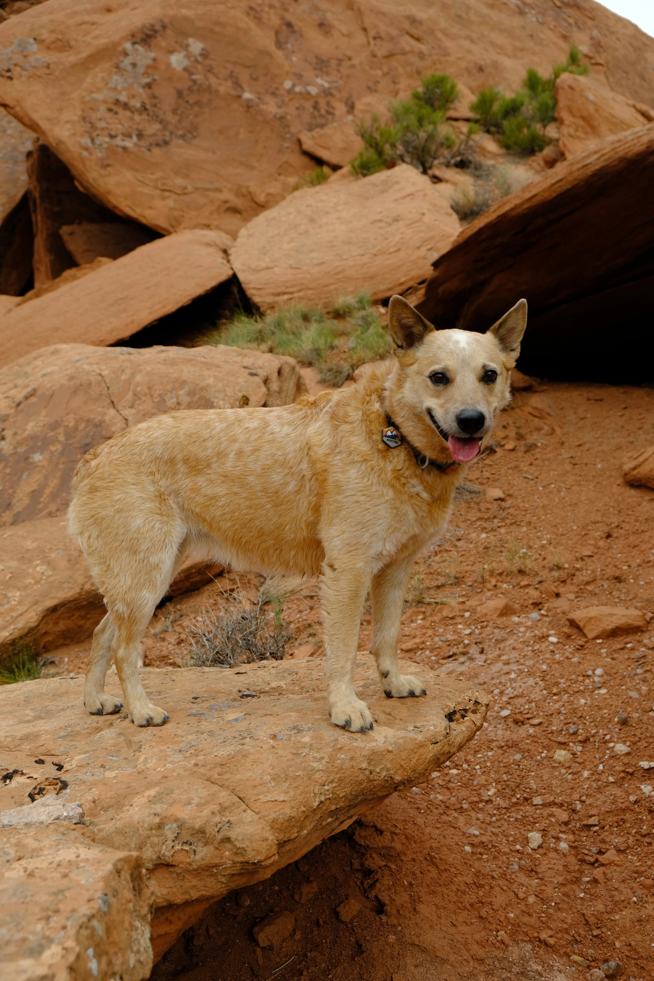 DSCF7558.JPG