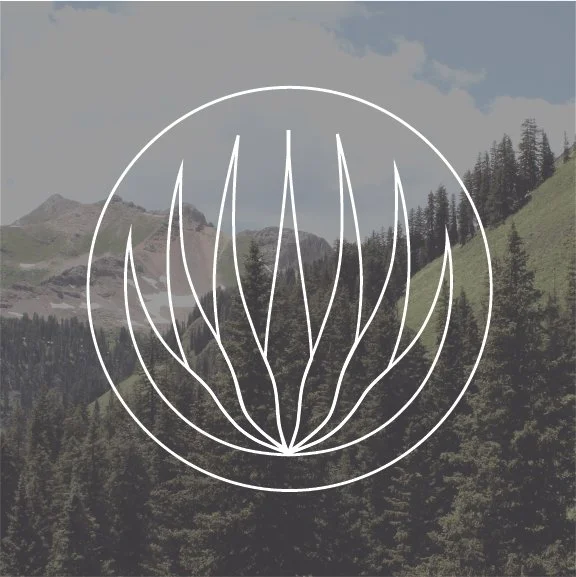 Agave Logo_Image Overlay.jpg