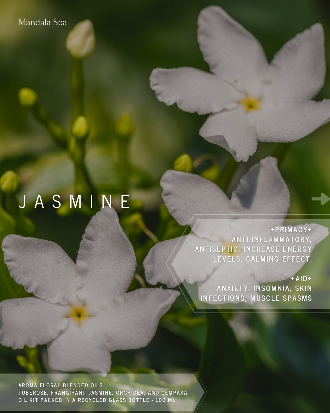 Brighten your day and your complexion with the mood-boosting power of jasmine flower oil! 🌺✨ Let its natural goodness elevate your skincare routine and uplift your spirits.

Open 9 am to 8 pm daily
Call to book at +623619088888
Chat to book at +6281