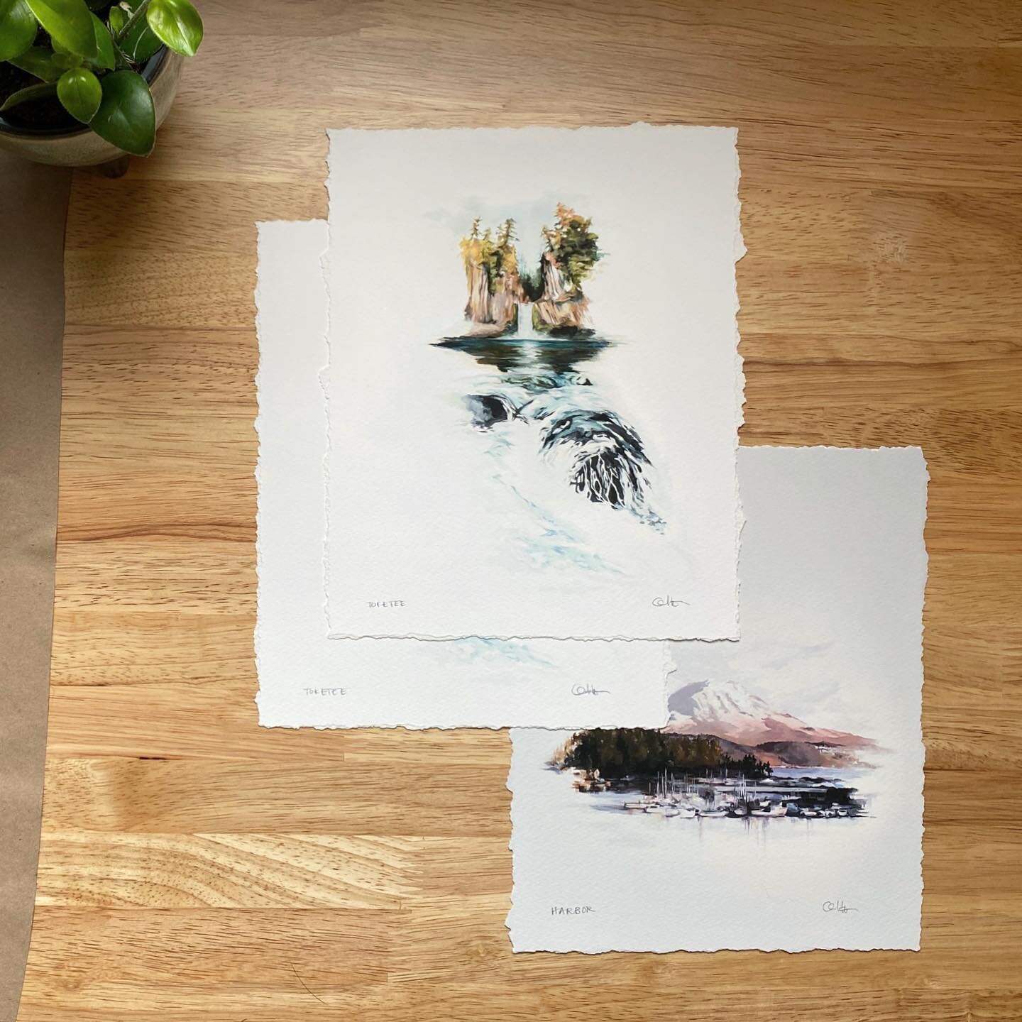 ✨15% off these new deckled edge prints just because✨

All are signed and titled, printed on a textured cream paper. Tokatee comes in a mini size too! Get the discount through the end of the week (March 25th). 

#bendoregonart #bendoregonartist #orego