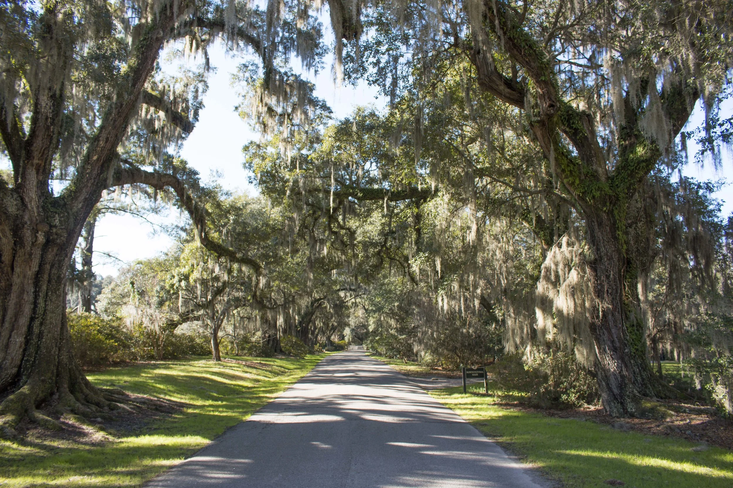 Live Oak Real Estate