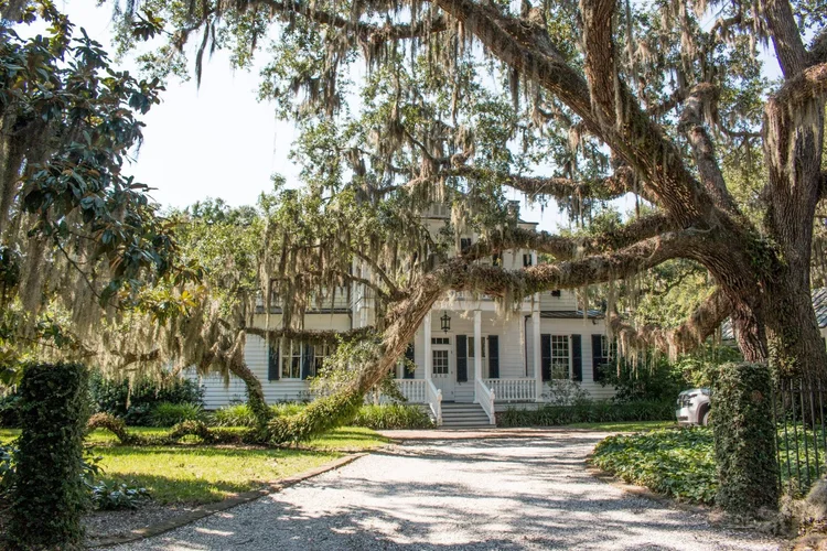 Live Oak Real Estate