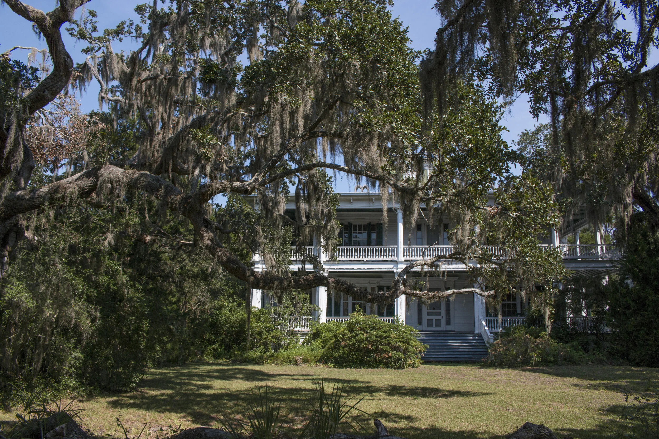 Blog — Live Oak Real Estate