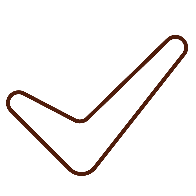 LifeSpeak_Icons_Rust_Checkmark.png