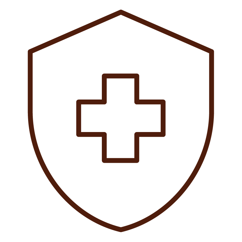 LifeSpeak_Icons_Rust_Insurance_Health.png