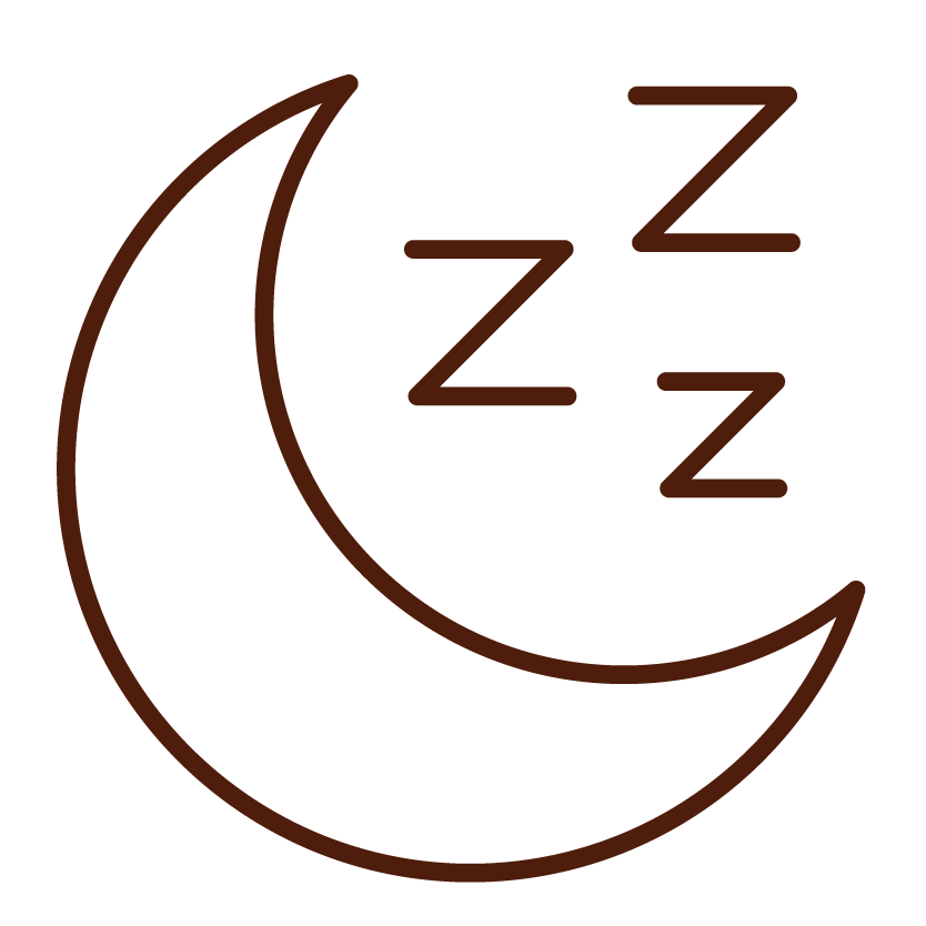 LifeSpeak_Icons_Rust_Sleep.png