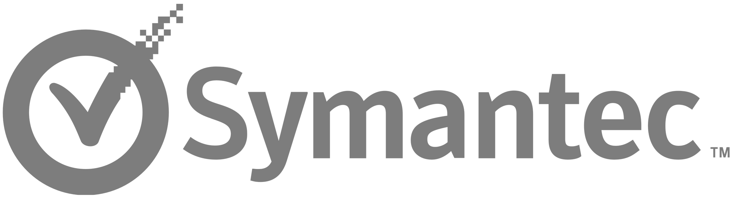 Symantec_logo_gray.png