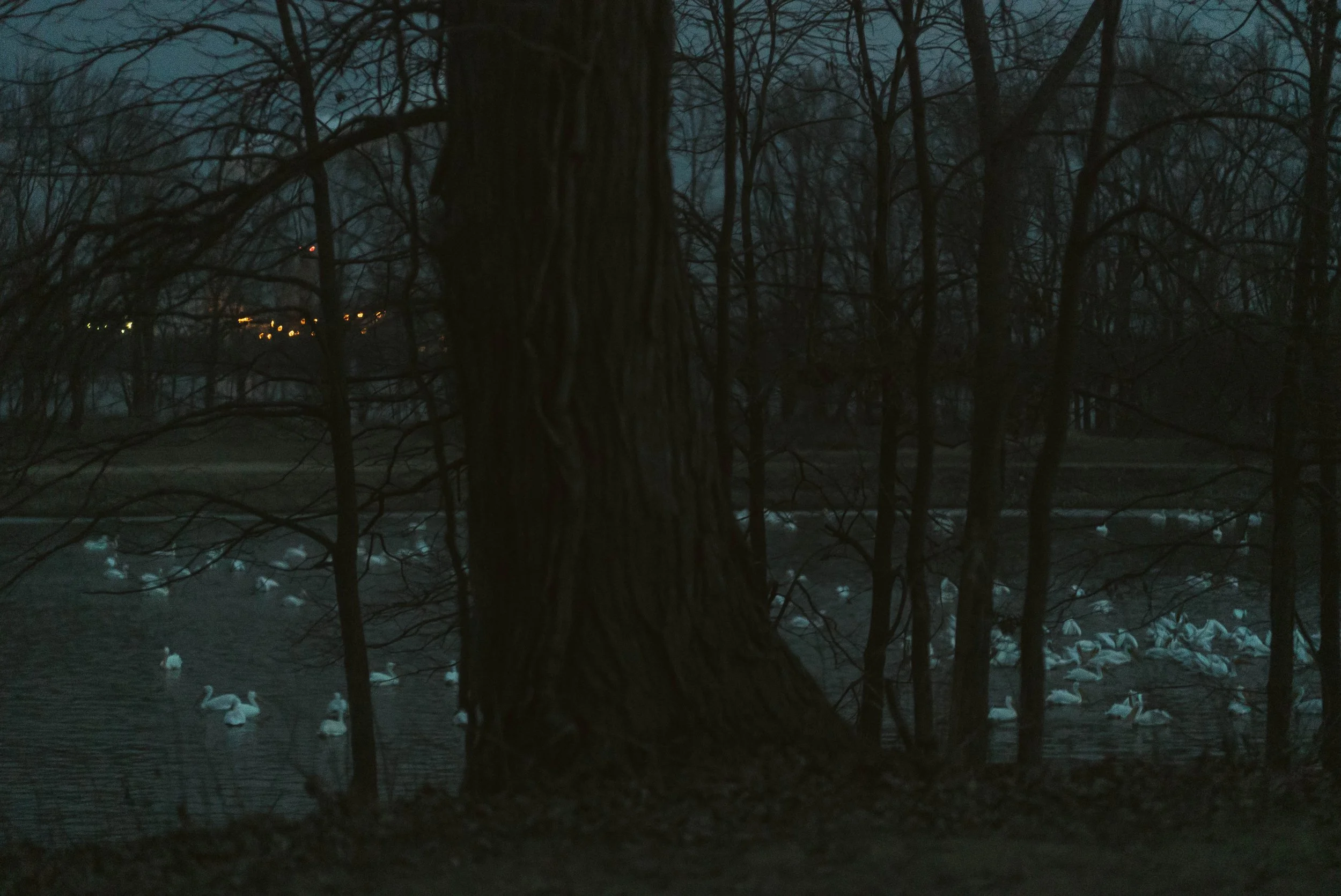 Jottings of an Unloved-29.jpg