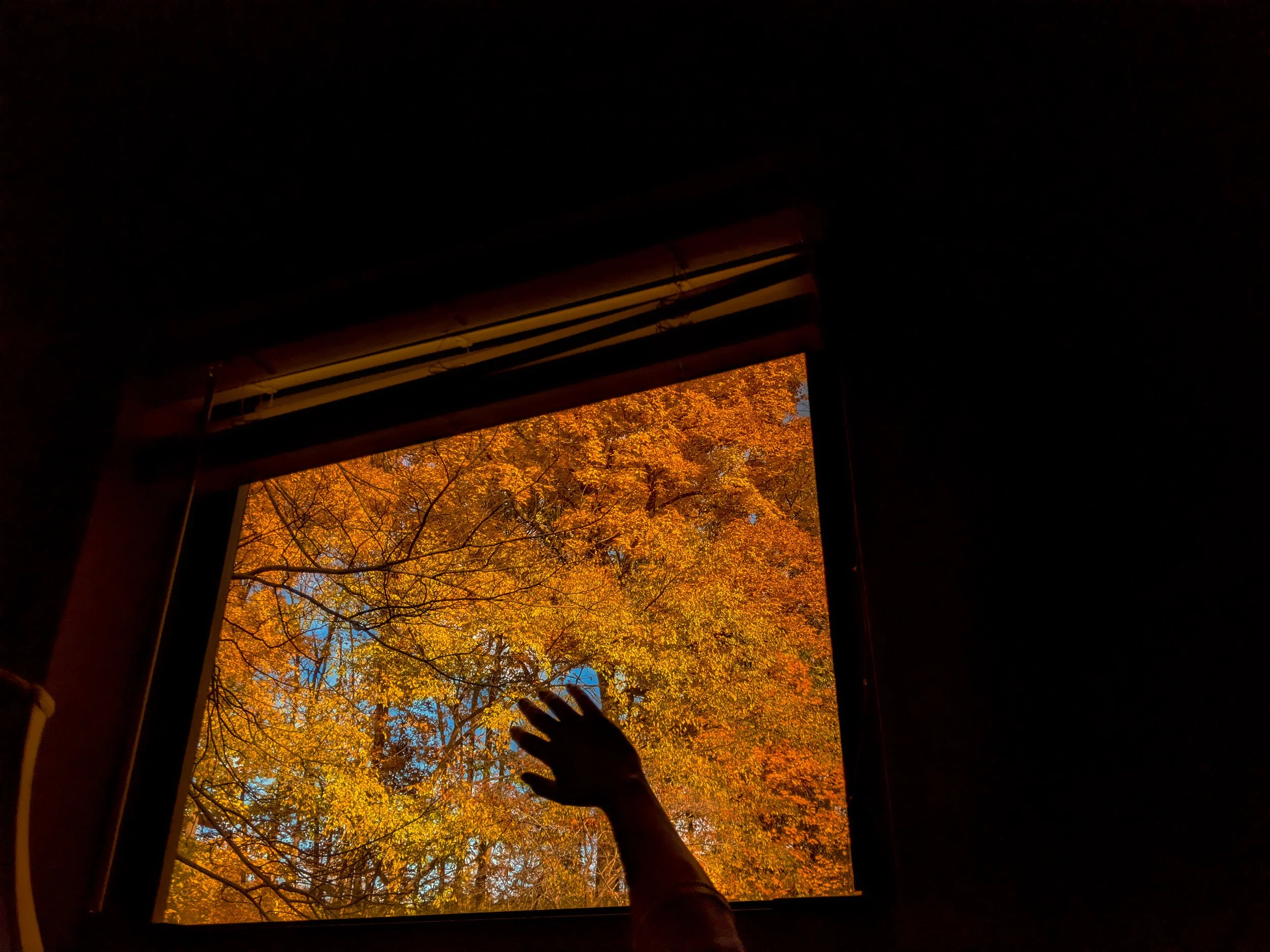 Jottings of an Unloved-31.jpg