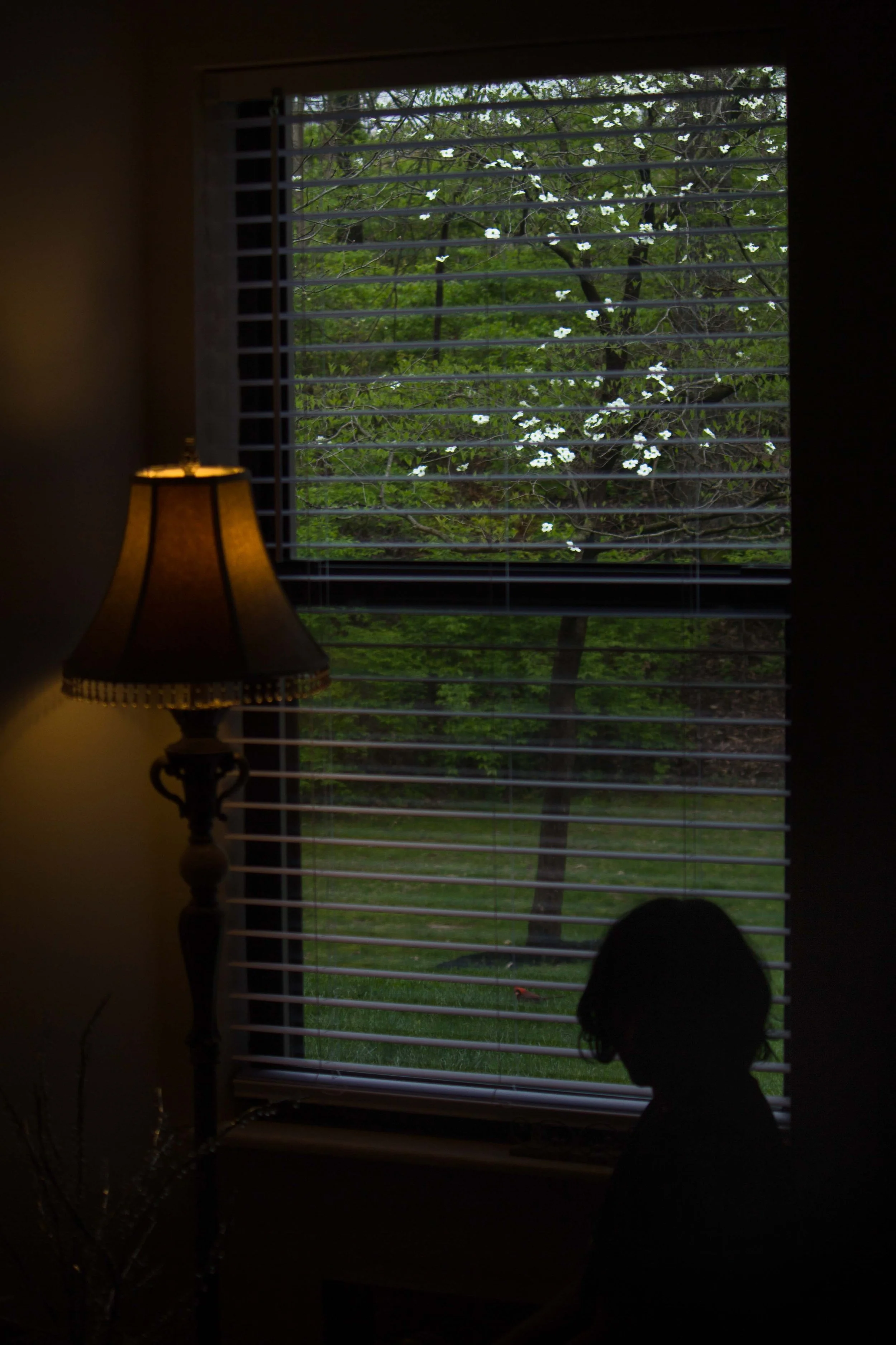 Jottings of an Unloved-43.jpg