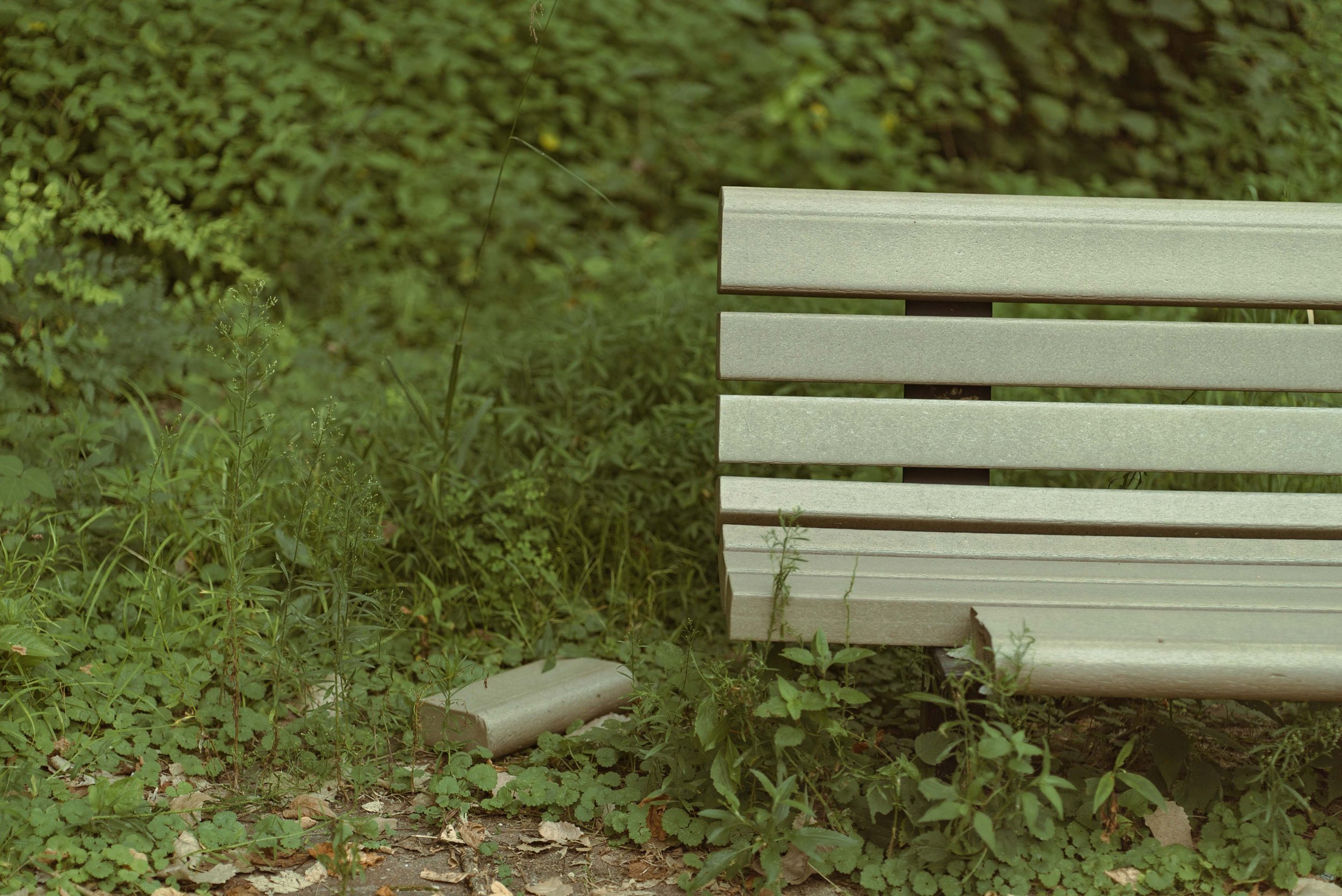 Jottings of an Unloved-33.jpg