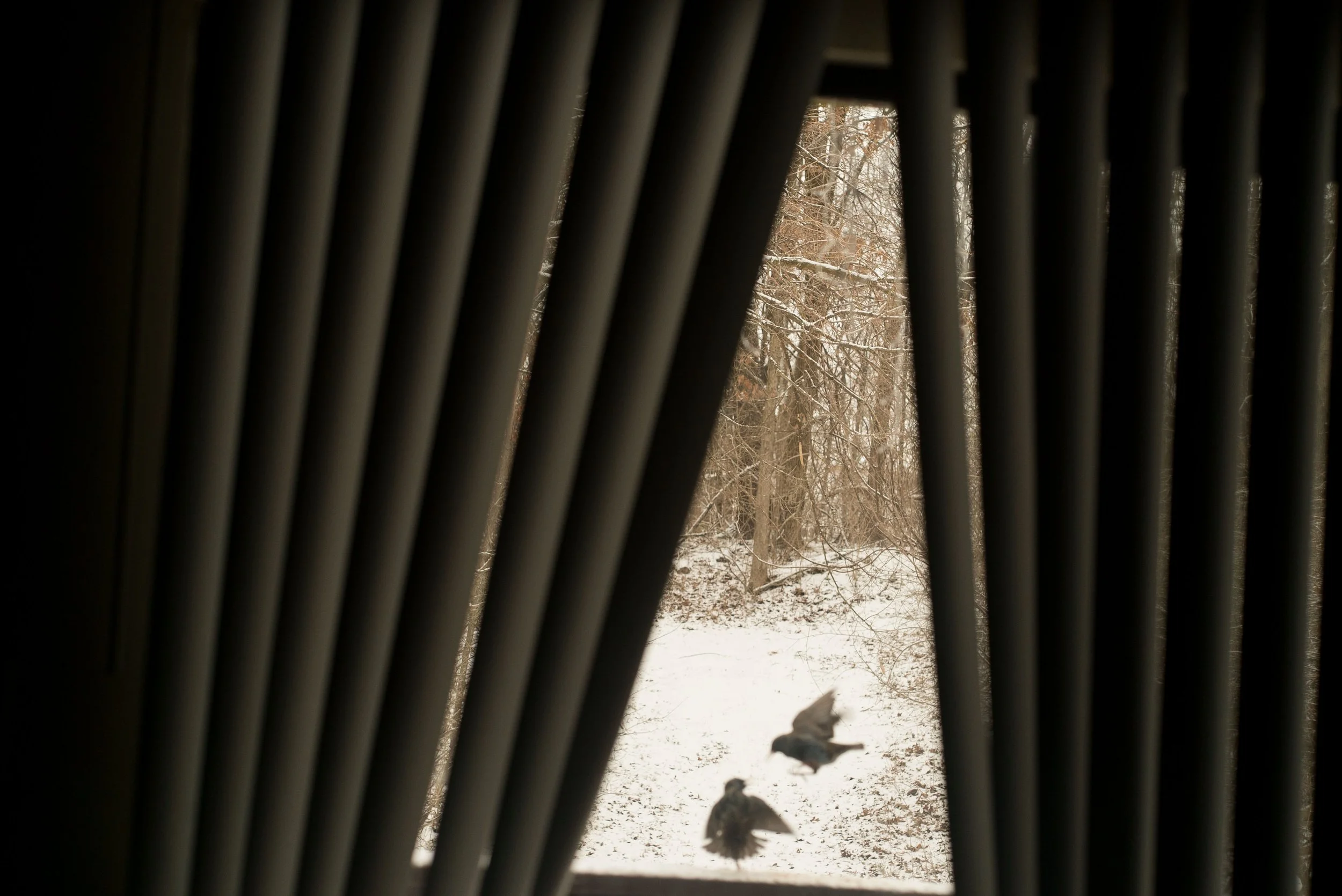 Jottings of an Unloved-39.jpg