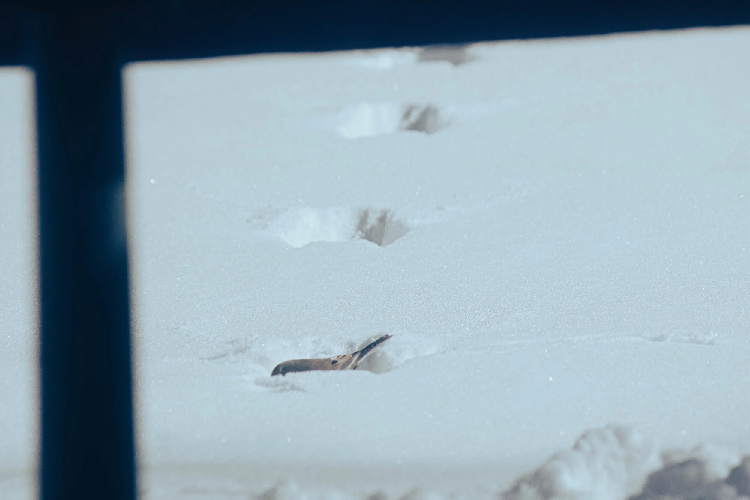 Jottings of an Unloved-34.jpg