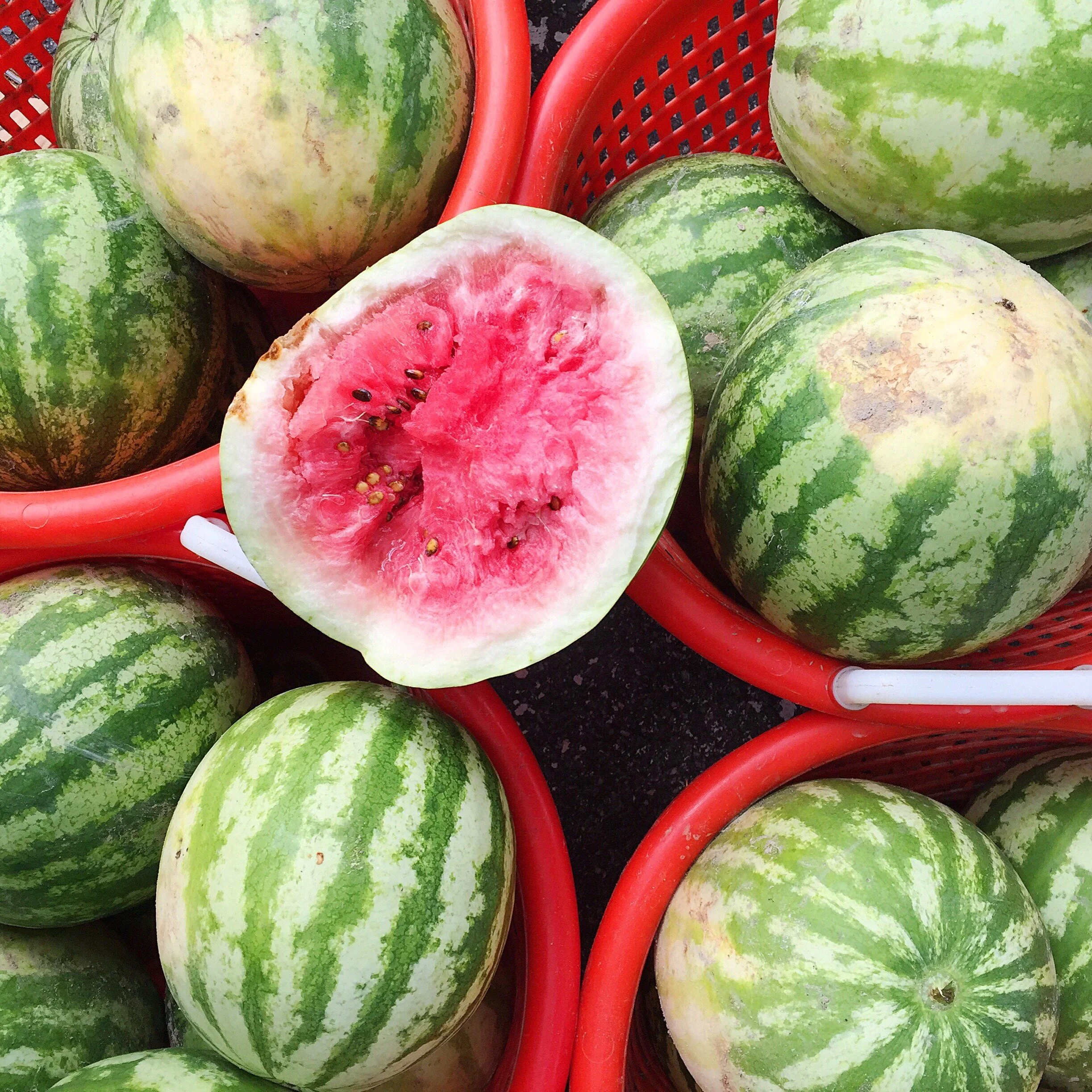 Watermelon Fresh Lime Soda