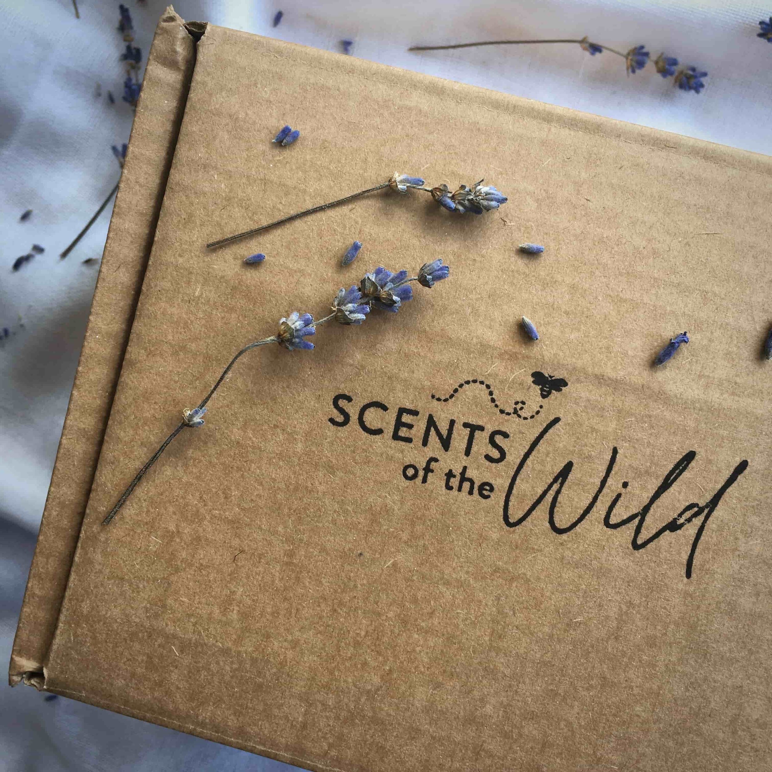 Scents of the Wild Kraft gift box with dried lavender stems.jpg