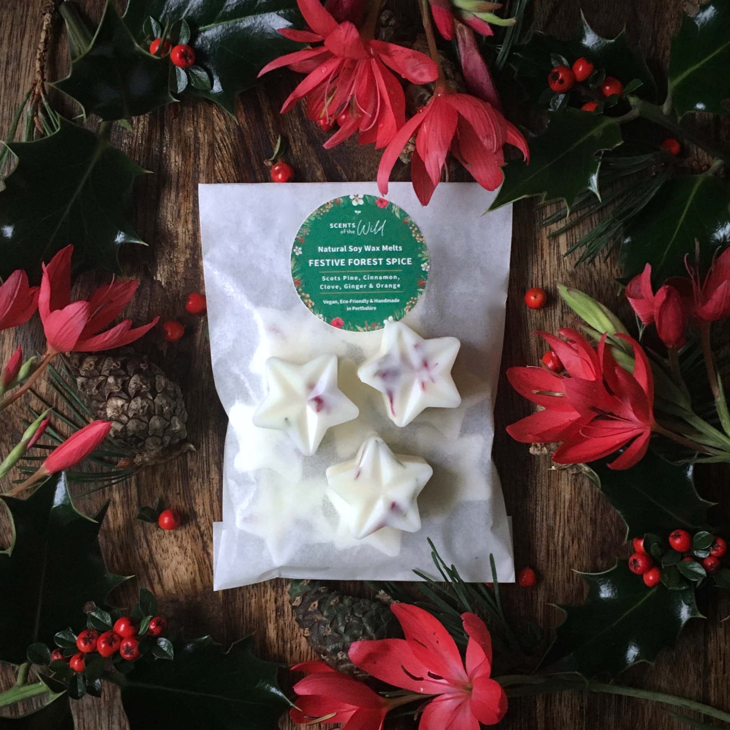 Festive Forest Spice Christmas wax melts packet.jpg