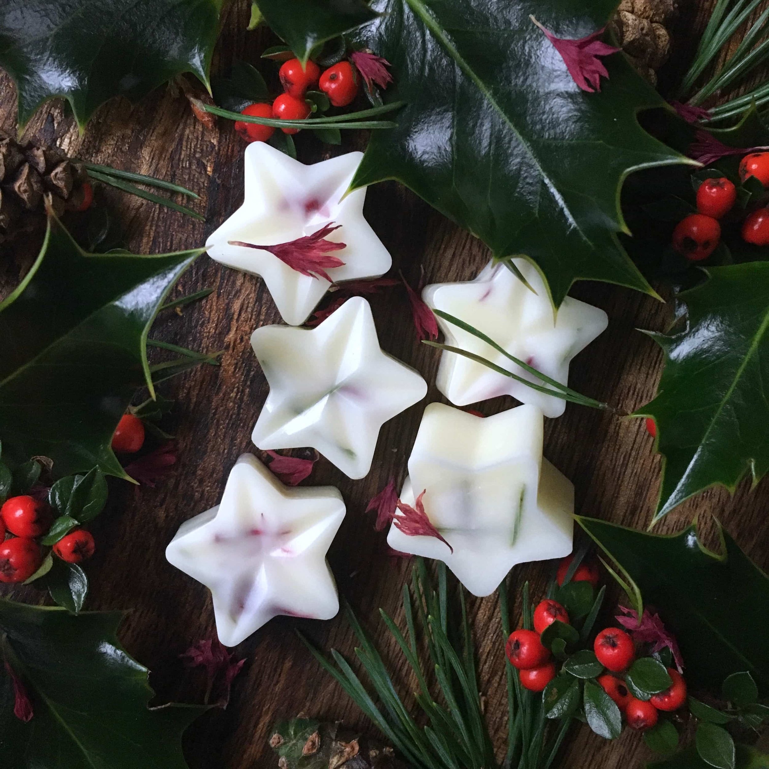Festive Forest Spice Christmas scented wax melts.jpg