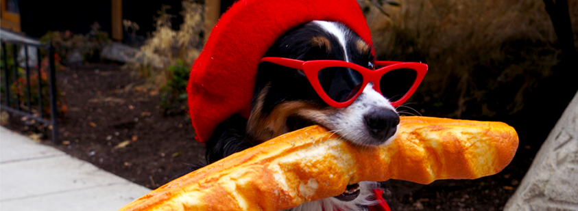 2025 PAX - Social Image.png