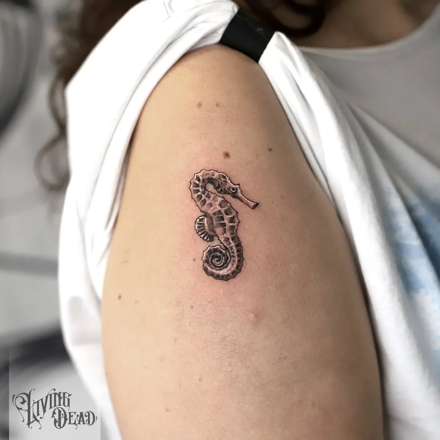 Klassiker! Ein kleines, feines Seepferdchen. Vielen Dank!