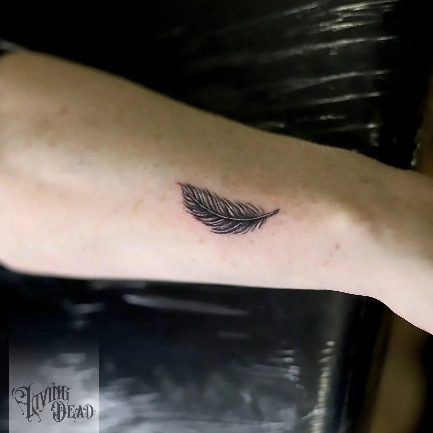 Sehr kleine Feder von letzter Woche. Wie immer sind mir auch kleine Tattoos willkommen! ✌️