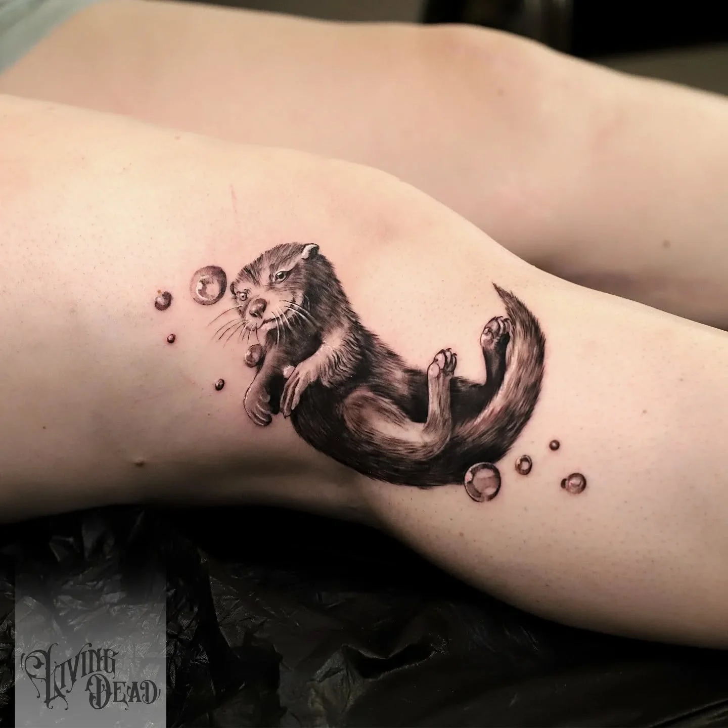 Flotter Otter von gestern.  Immer toll, wenn ich Tiere tätowieren darf die ich noch nie zuvor tätowiert habe.