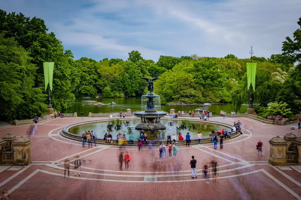 DSCF8779-2.jpg