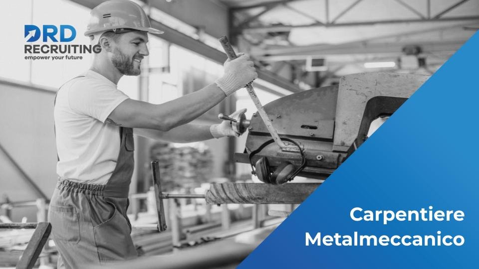 Carpentiere Metalmeccanico - Piacenza