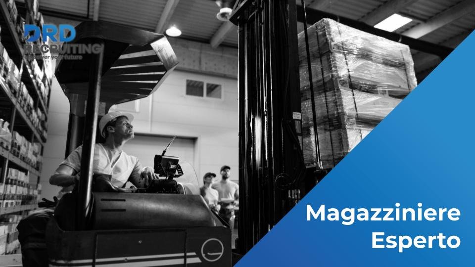 Magazziniere Esperto - Piacenza