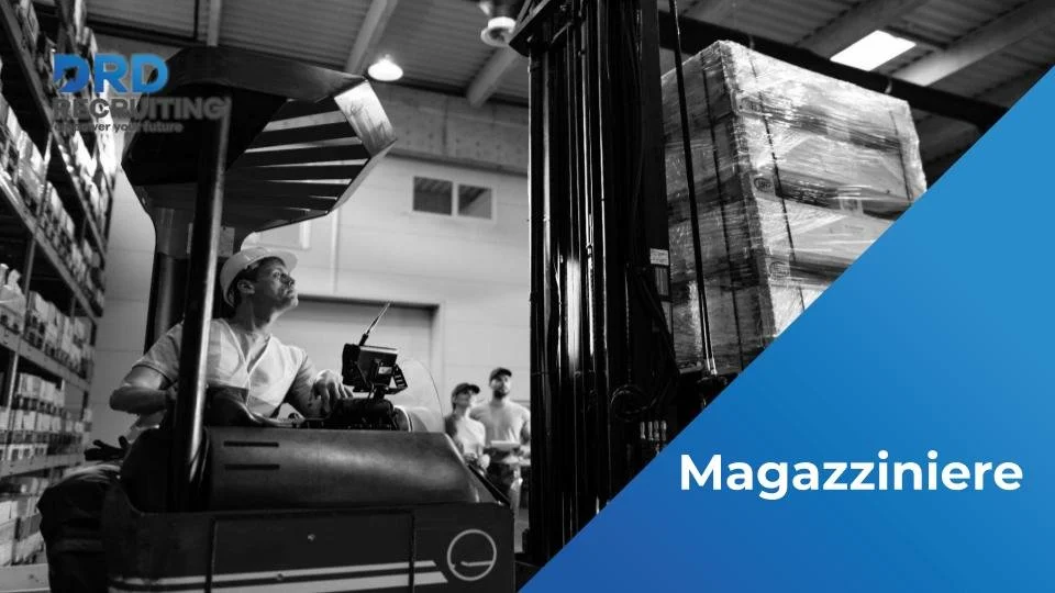 Magazziniere - Castelfranco  Veneto (TV)