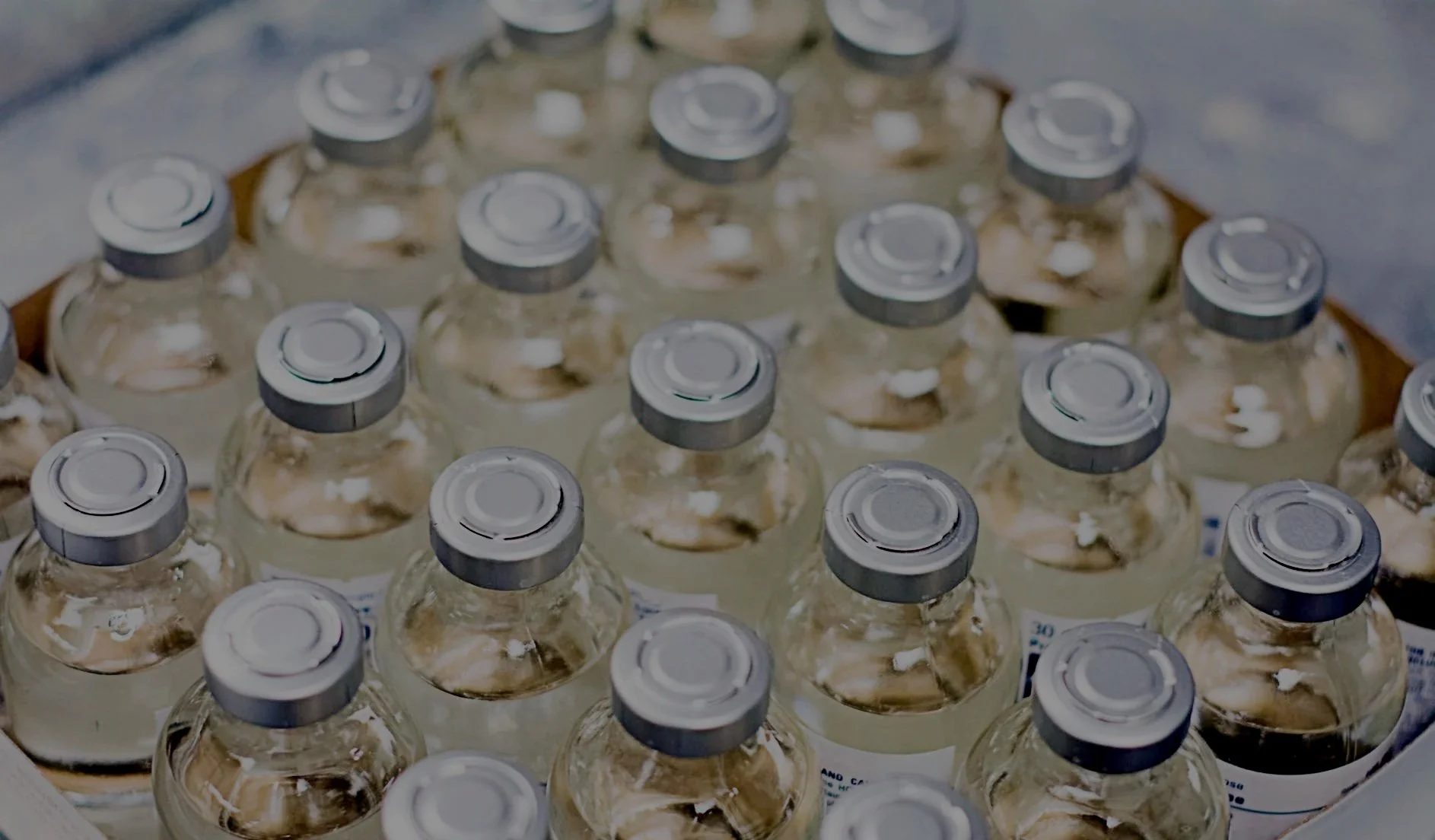 Angels for Change serves as Advising Member in the Drug Resiliency &amp; Transparency Pilot