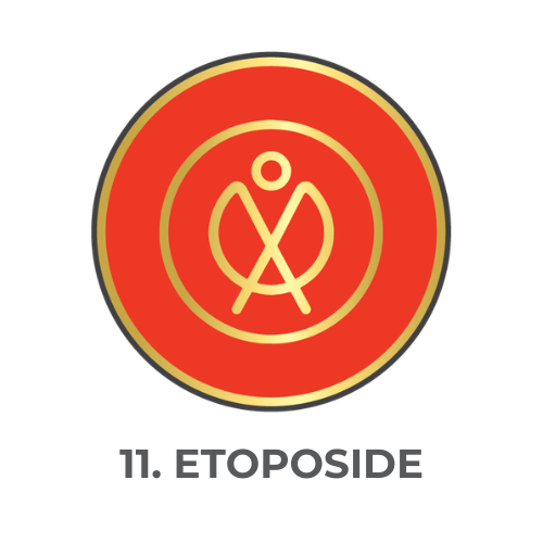 Etoposide.png