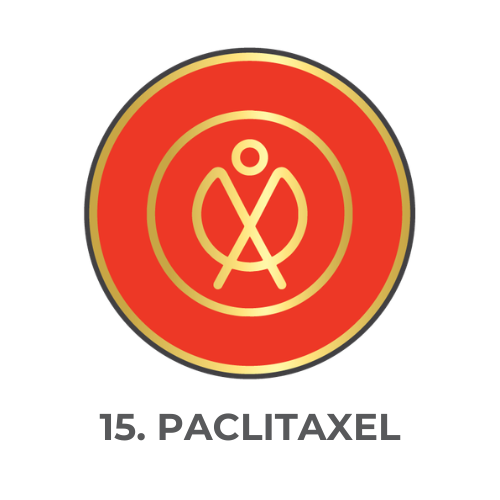 Paclitaxel.png
