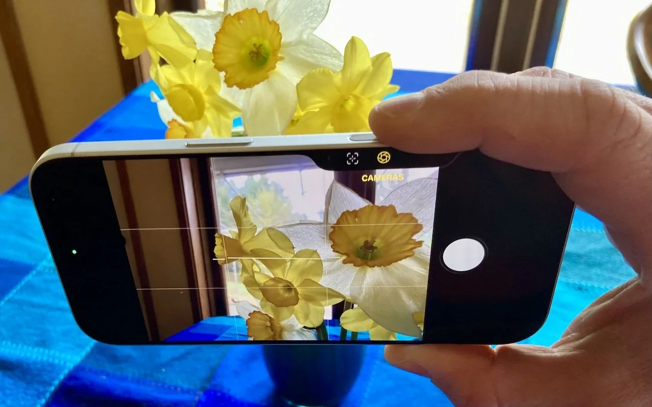 Customize the Camera Control on Your iPhone