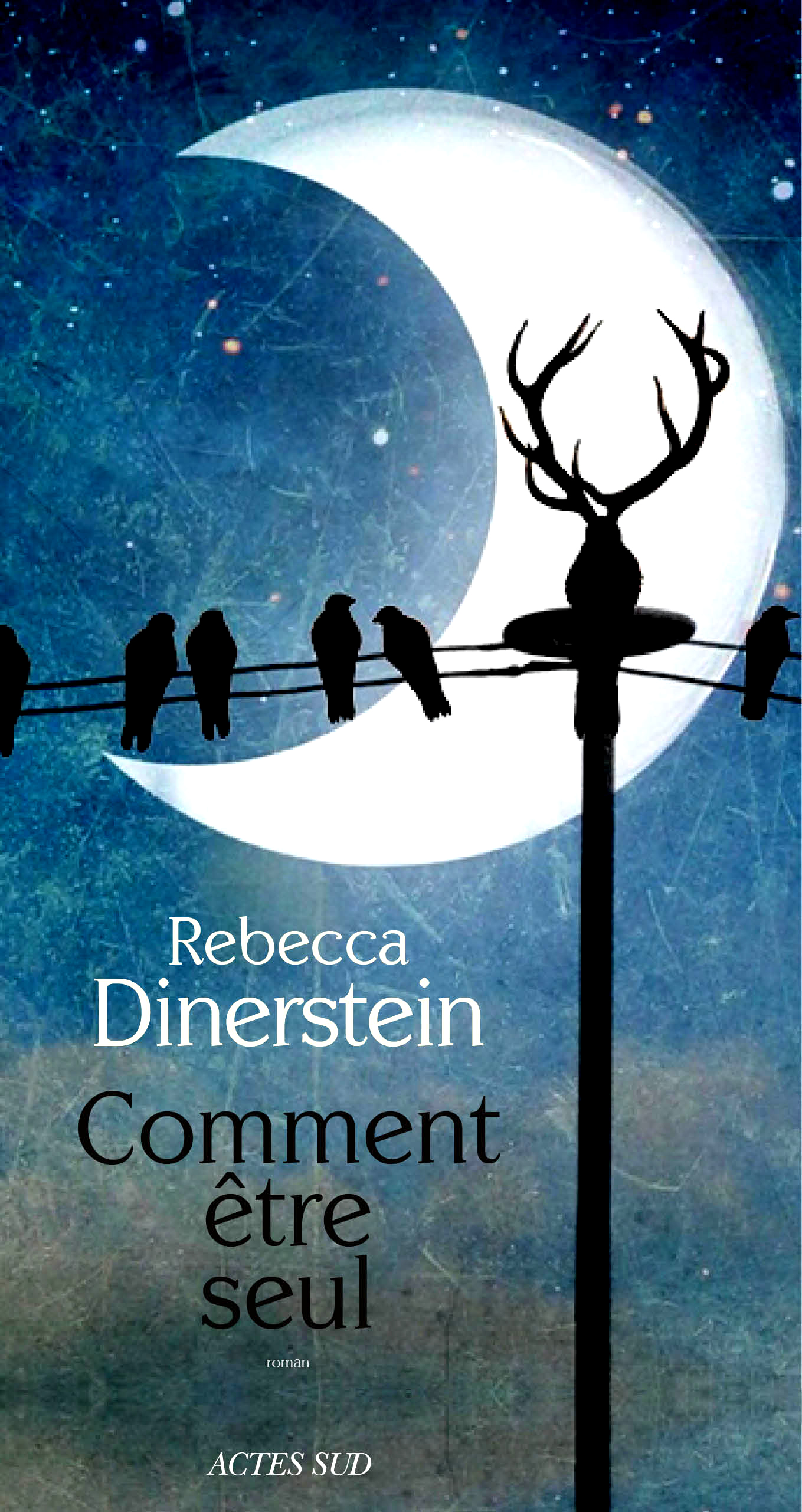 Dinerstein Rebecca - THE SUNLIT NIGHT (French cover).pdf.jpg