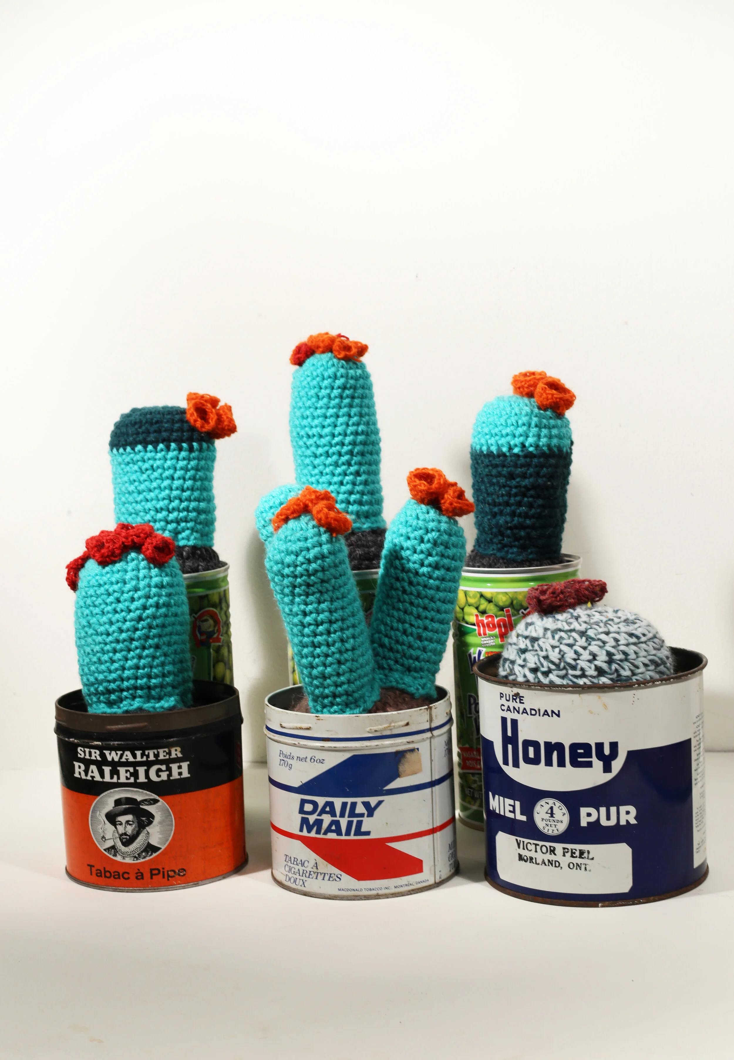 Crochet Cacti, 2020, Crochet Wool, Acrylic, Armature Wire, Polyfil, Vintage & Upcycled Tobacco, Honey, Wasabi Pea Tins, Variable Dimensions