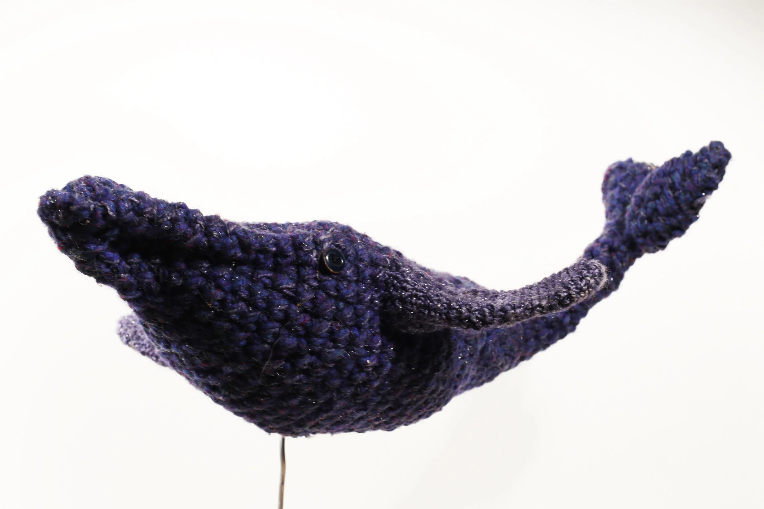 Humpback Whale, 2015 Aluminum Armature Wire, Epoxy Putty, Crochet Wool, Embroidery Floss, Buttons, Polyfil