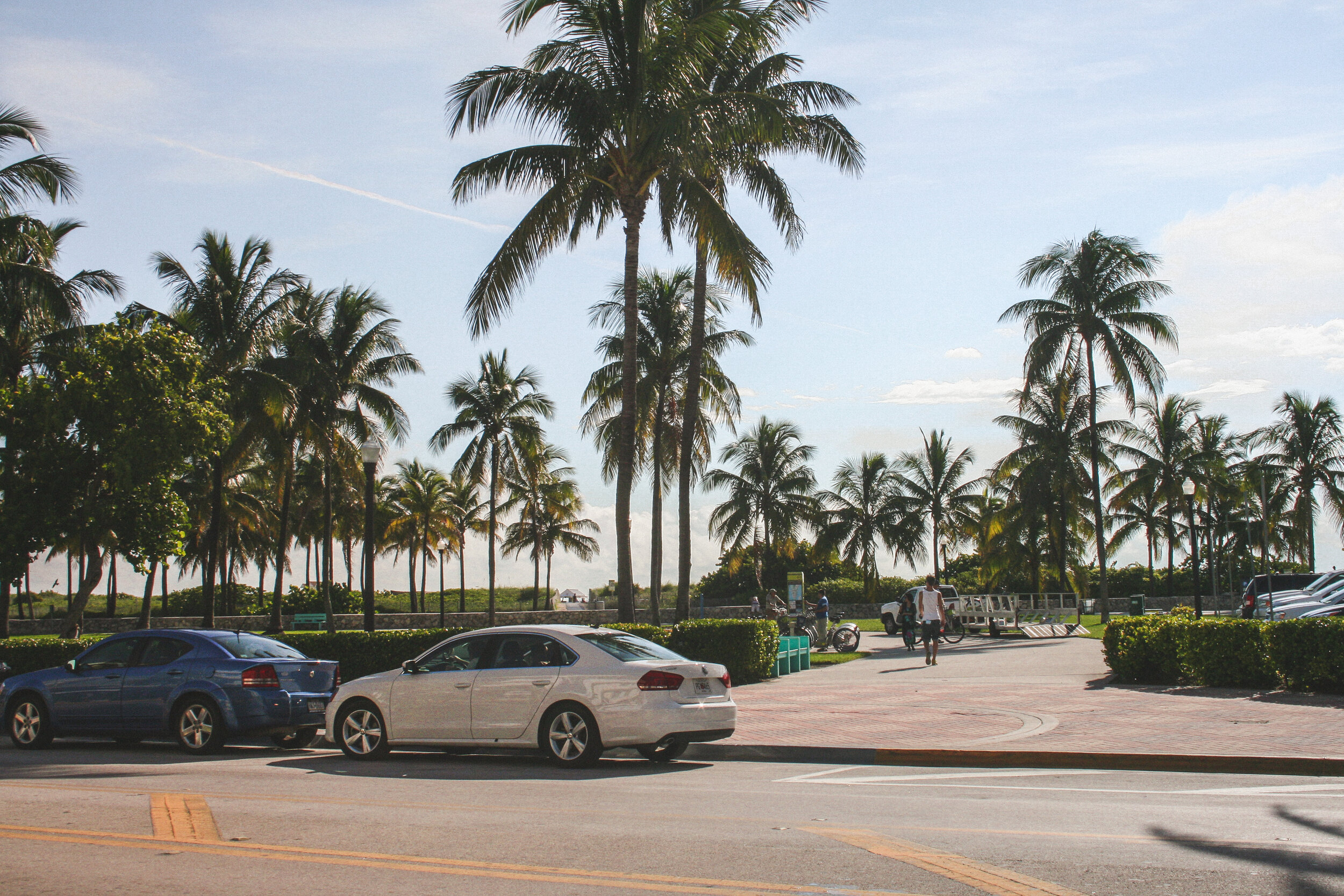 Miami-Beach-Ocean-Drive-Palms.jpg