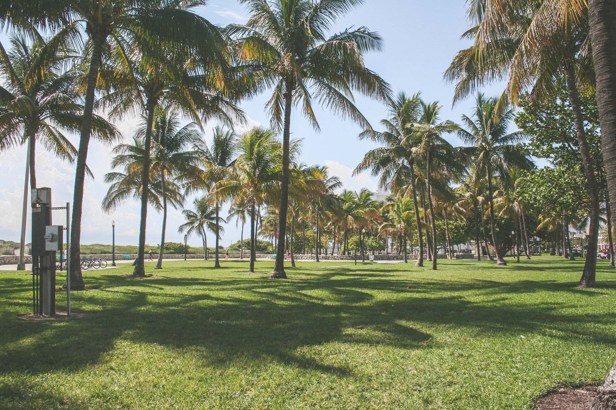 Miami-Beach-Lummus-Park.jpg