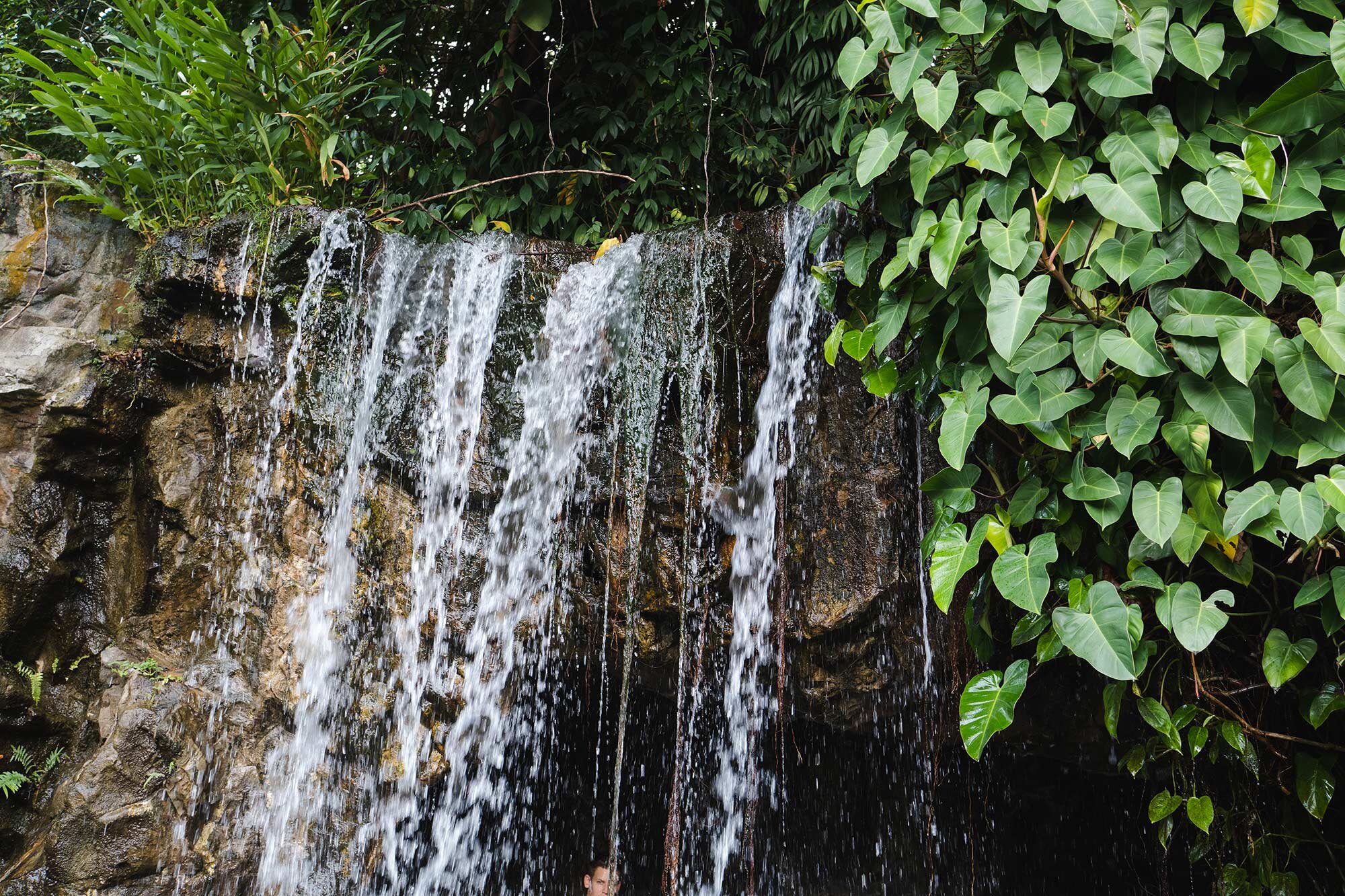 In the centre of Singapore's&nbsp;Botanical Gardens&nbsp;there is a man-made&nbsp;waterfall&nbsp;which you can walk behind.