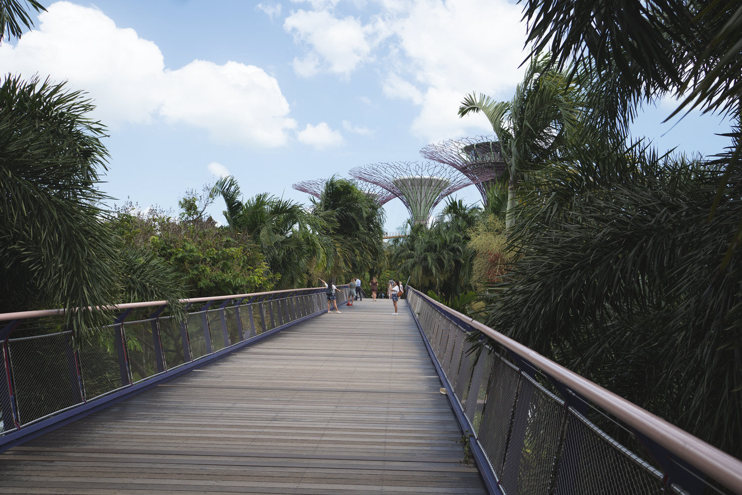 Singapore_10_Facts_Gardens-by-the-bay.jpg