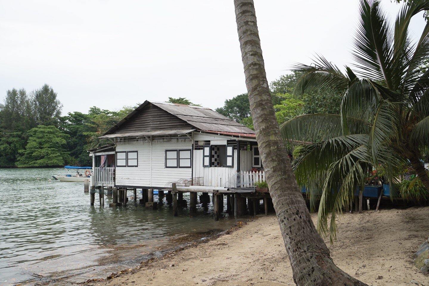 Our visit to Pulau Ubin revealed an exciting glimpse into a primeval Singapore.