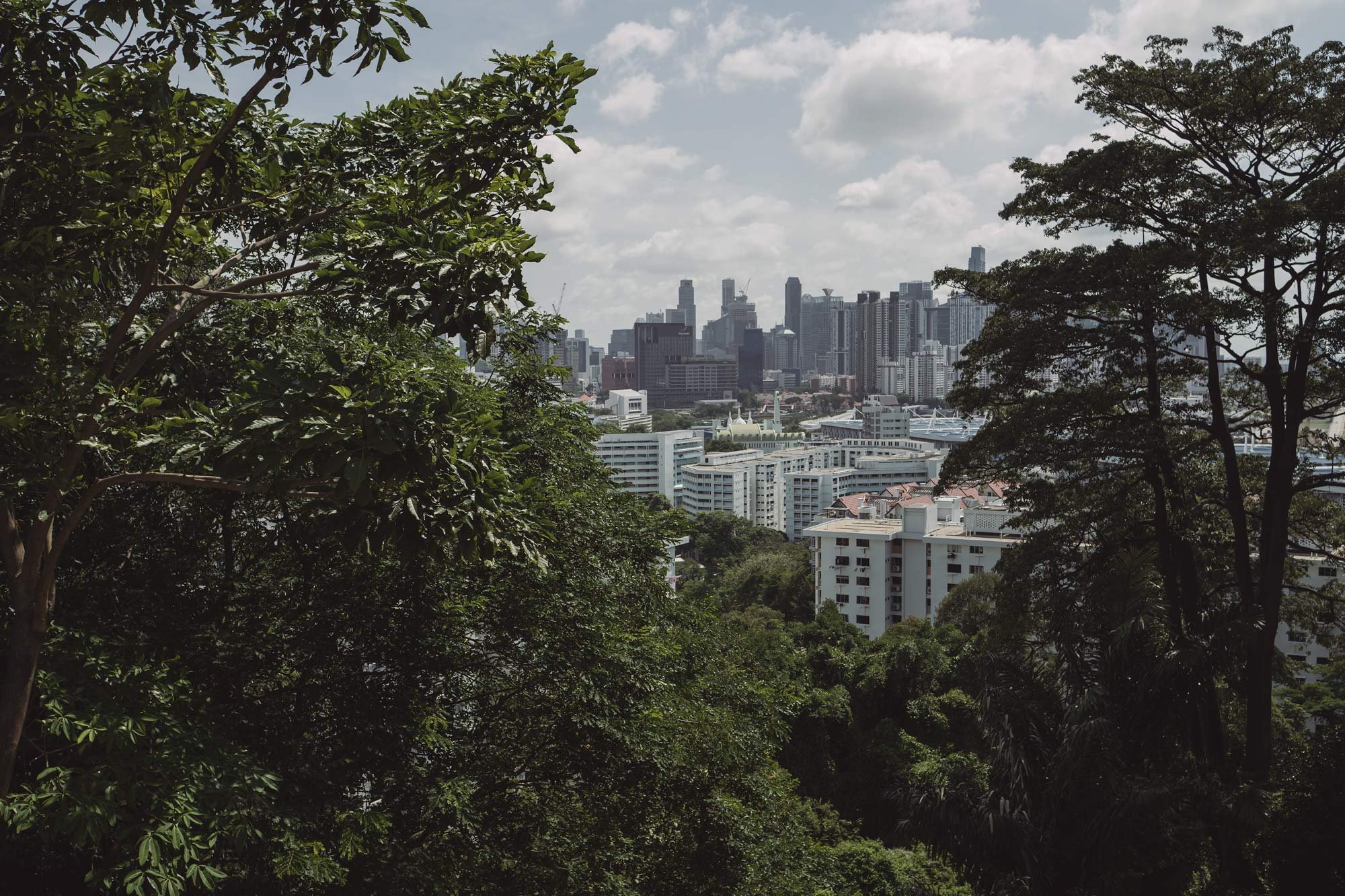 So war das Leben in Singapur | Zwei Jahre in der tropischen Metropole