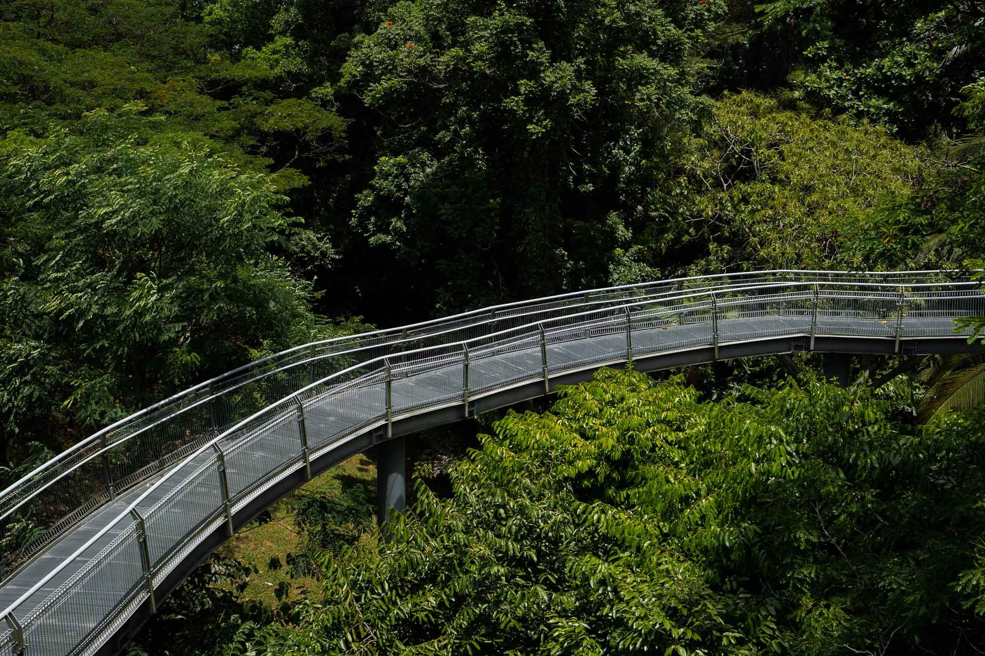 Die Southern Ridges in Singapur – 10 Kilometer Stahlweg durch tropische Wälder
