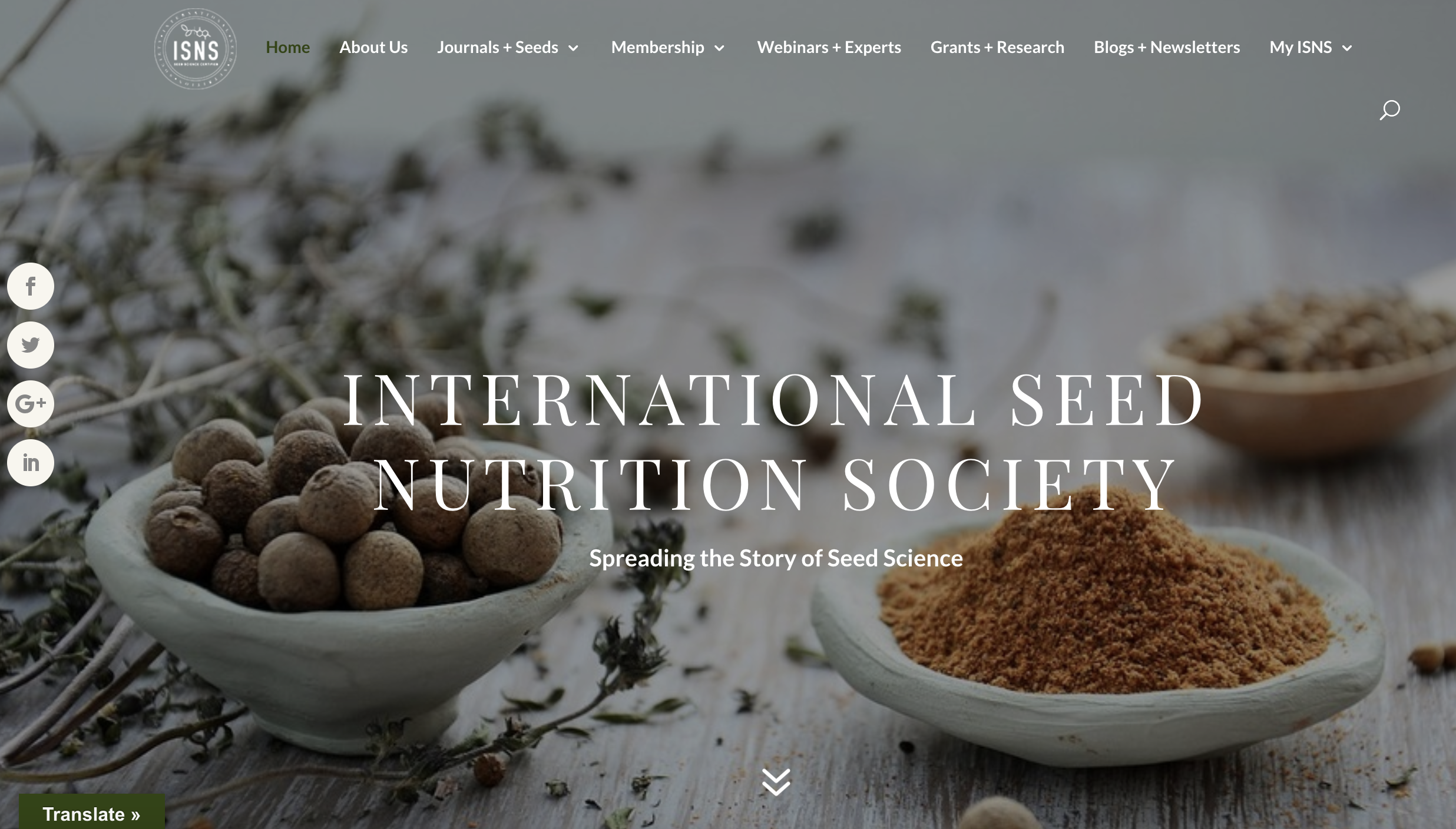 The ISNS Website