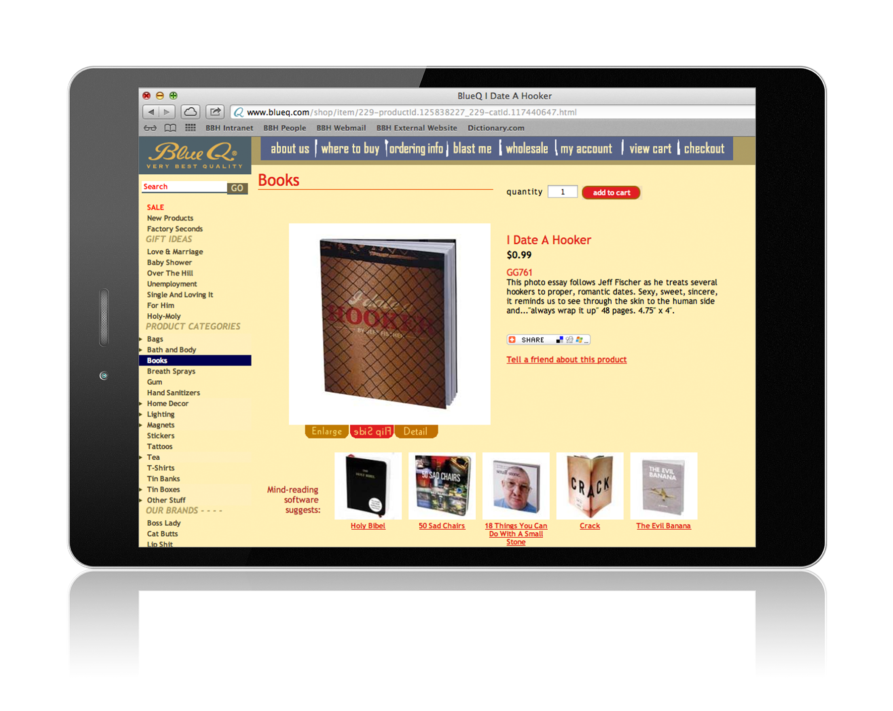 iPad Hooker Book on BlueQ.com.png
