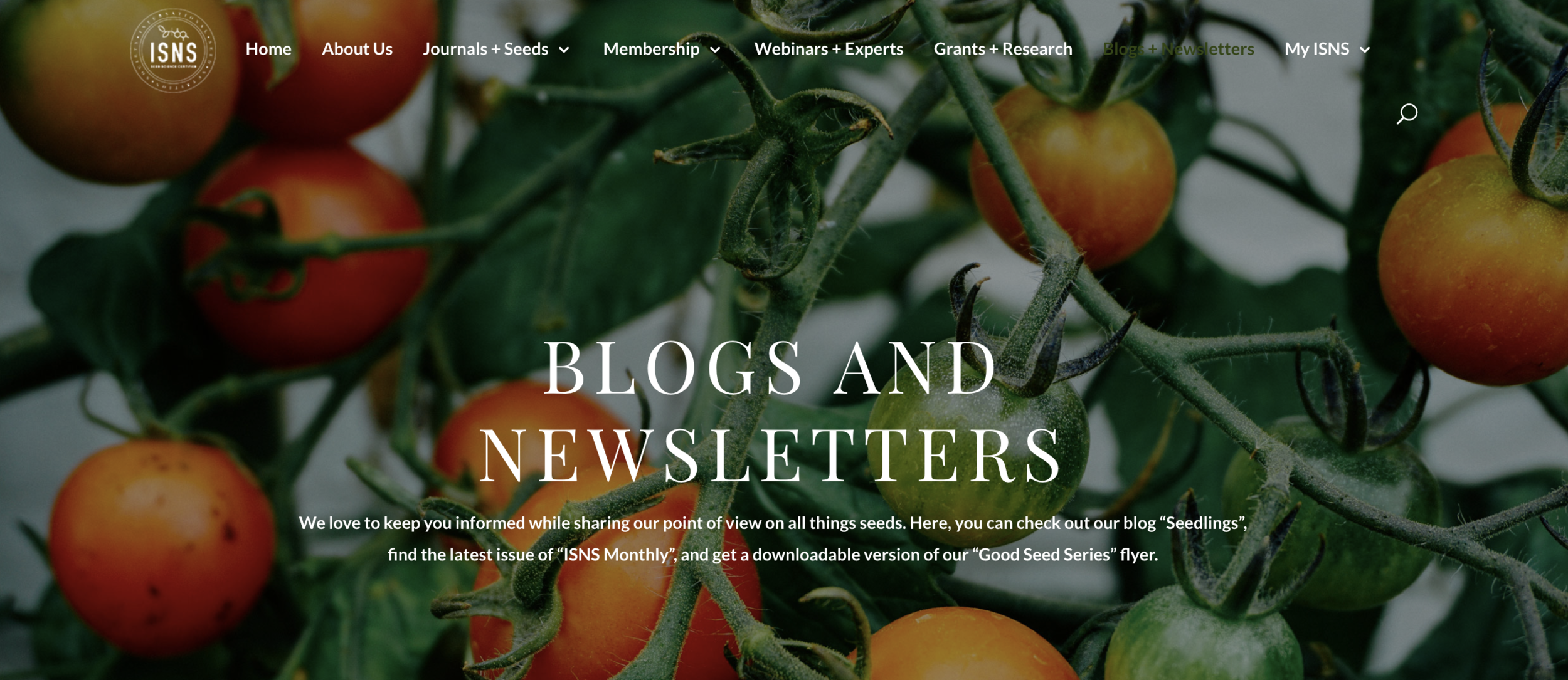 Screen Shot 2019-10-28 at 1.45.35 PM.png