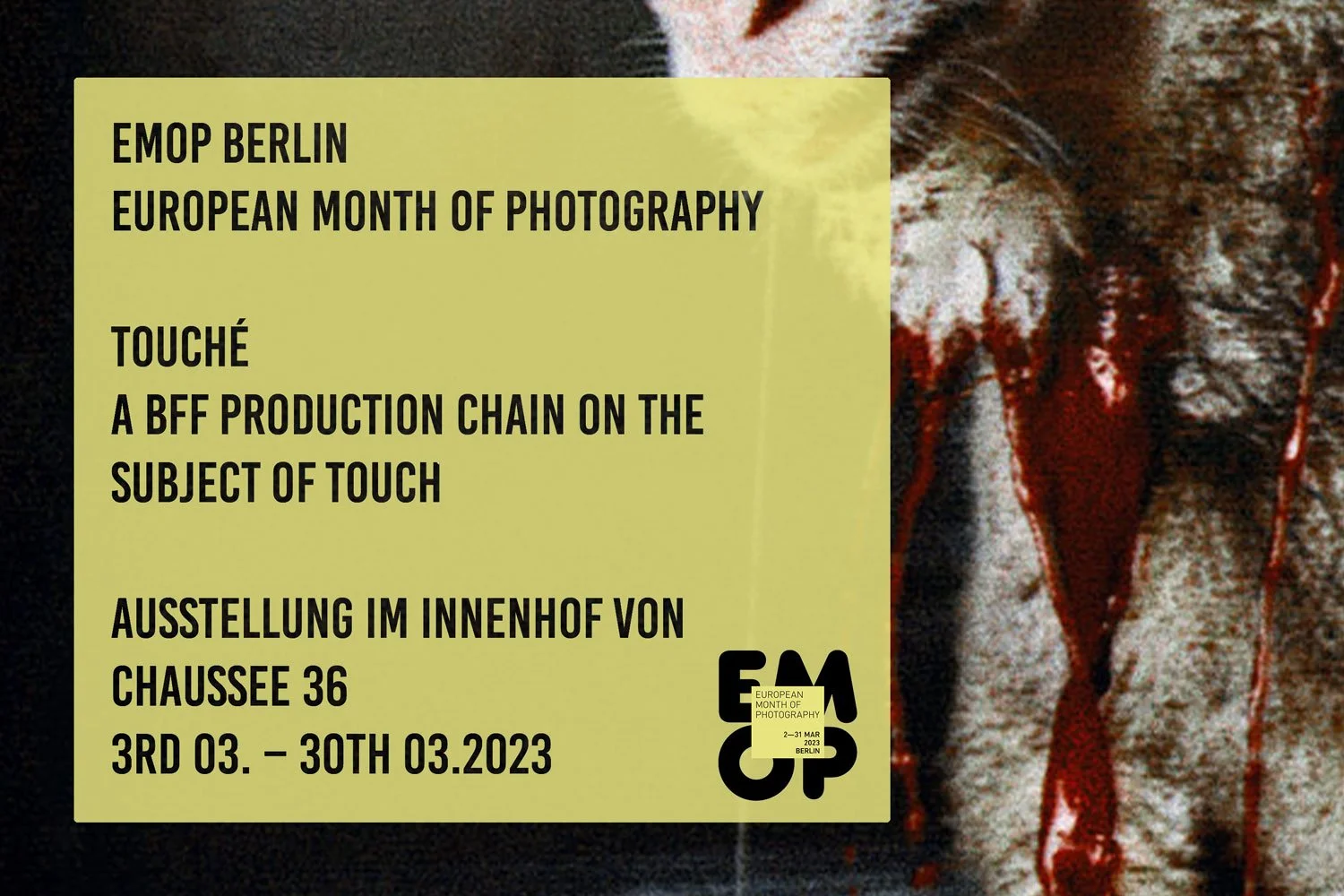 BFF at CHAUSSEE 36, EMOP 03.03. – 30.03.2023