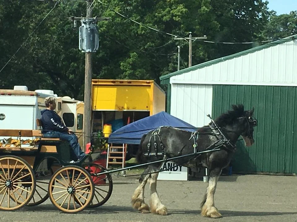 9-1-2017 calhoun fairgrounds.jpg