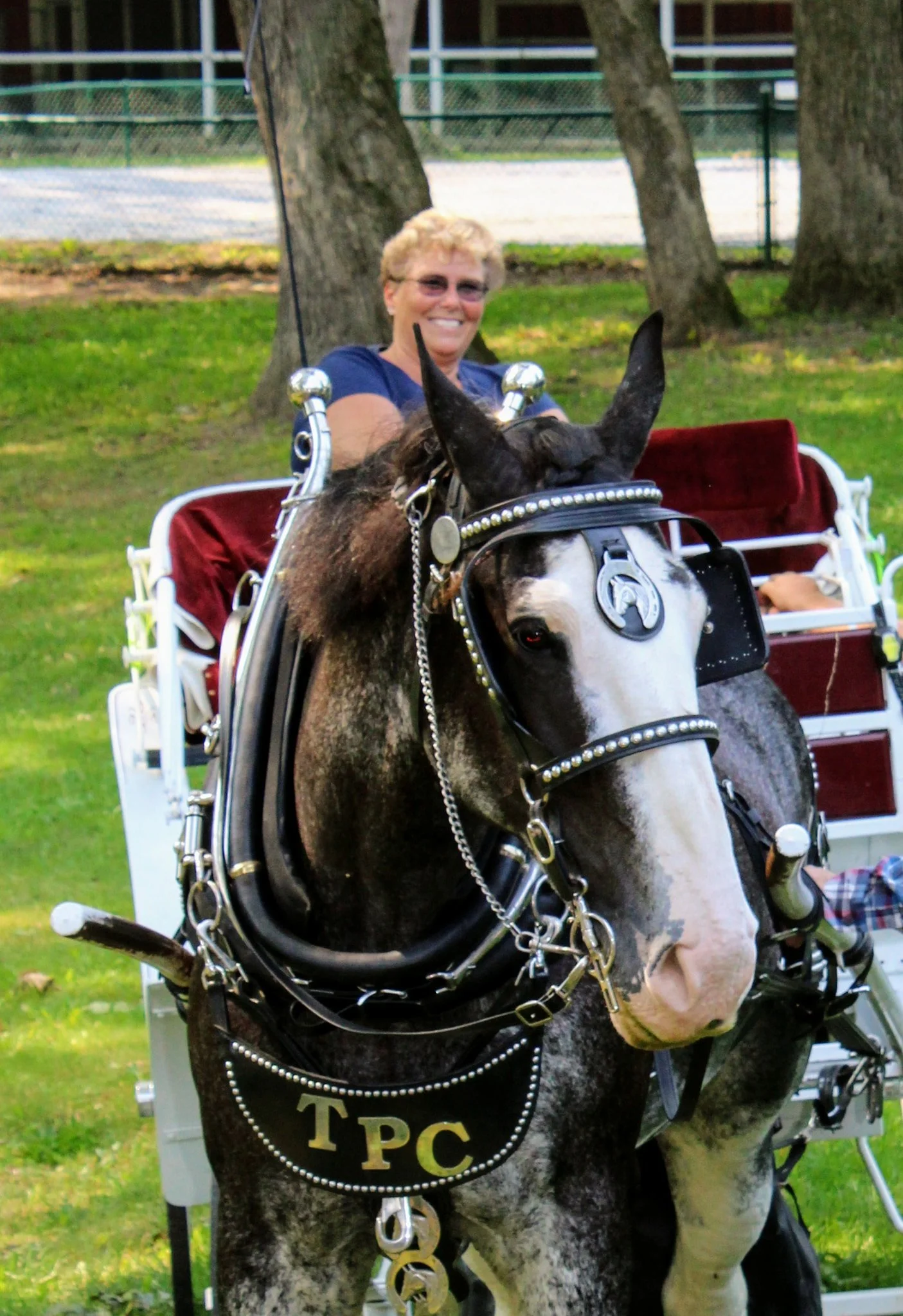 Pattie Baughman and her mare Hannah gave carriage rides.jpg